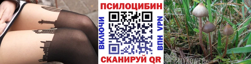Галлюциногенные грибы Cubensis  Купить закладки  Кондрово 