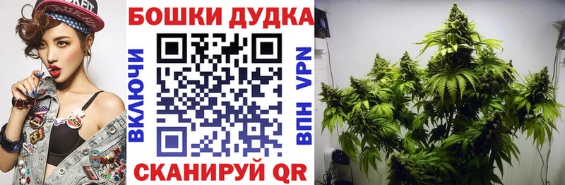 Бошки марихуана Amnesia  Купить закладки  Кондрово 
